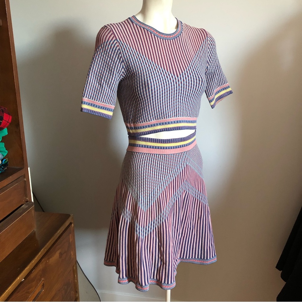 BCBG MaxAzria 2-Piece Jaquard Knit Alisse set Top M Skirt L